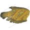 Fried Salid Fish
