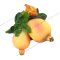 Pomegranate (bunch)