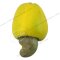 Cashew (Orange,Yellow)