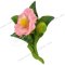 Camillia