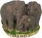 Elephant Family 1