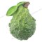 Bergamot