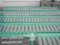 ลูกกลิ้ง คอนเวเยอร์(free roller conveyor)