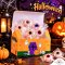 เซ็ทกล่องทรงบ้าน Halloween 8 ใบ