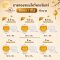 ถาดพลาสติกไหว้พระจันทร์ มี 4 สีให้เลือก (50 ใบ)