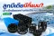 ลูกมีเดียมีกี่แบบ? เจาะลึกข้อแตกต่างก่อนใช้งาน ปี 2026
