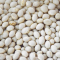 White Navy Bean