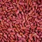 Light Red kidney beans