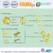 เอนไซม์ไลเพส Lipase Enzyme ย่อยวัตถุดิบอาหารสัตว์แหล่งน้ำมันและไขมัน