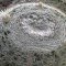 Mammillaria microthele v. superfina
