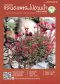 วารสารชมรม เล่ม 25 (ตค-ธค 65)