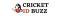 Cricketidbuzz