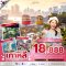 ทัวร์เกาหลี ปูซาน 5วัน 3คืน บินดึก-กลับเย็น - AIR BUSAN