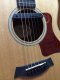 Fishman Rare Earth Magnetic Soundhole Single Coil Pickup - Active
