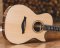 Herman Acoustic Guitar Model 900 GA All Solid AAAA Spruce / Rosewood