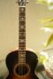 Aged Banjo Inlay Sticker for Guitar