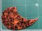 High quality OM Acoustic Guitar pickguard - Tortoise No.3