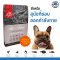 อาหารสุนัข Orijen Fit&Firm โอริเจน สูตรฟิต&ทริม