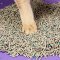 PETKIT Mixed Cat Litter 5 in 1 ทรายแมวผสมเหมาะกับห้องน้ำแมวอัตโนมัติทุกรุ่น