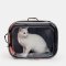 Pidan Pet Carry Bag กระเป๋าสัตว์เลี้ยงแบบสะพายหลัง น้ำหนักเบา ใส ระบายอากาศดีเยี่ยม พับเก็บได้
