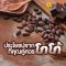 8ประโยชน์จากโกโก้ ที่คุณคู่ควร