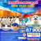 HOKKAIDO SMILE ROAD NEW YEAR 2025 6D 4N - XJ