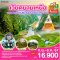 GO VIETNAM เวียดนามเหนือ ฮานอย ซาปา ฟานซีปัน นิงบิงห์ ฮาลองบก 5วัน 4คืน - VJ