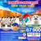 HOKKAIDO SMILE ROAD NEW YEAR 2025 6D 4N-XJ