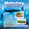 GO Philippines Mabuhay เซบู ออสลอบ โบโฮล ว่ายน้ำลชมฉลามวาฬ ทาร์เซียร์ ช็อคโกแลตฮิลส์ 4 วัน 3 คืน  - 5J