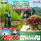 KOREA SEORAK IN LOVE-YP
