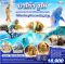 มาเก๊า จูไห่ สวนสนุก Chimelong Ocean Kingdom ดูฉลามวาฬยักษ์ ส่องน้องหมีขั้วโลก ชมโชว์วาฬเบลูก้า 3 วัน 2 คืน-NX