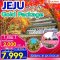 JEJU GOLD PACKAGE AUTUMN 4 วัน 2 คืน-7C