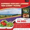 HAPPINESS HOKKAIDO LAVENDER 7 วัน 5 คืน - TG