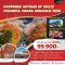 HAPPINESS AUTUMN OF WALTZ COLORSFUL OBARA KORANKEI 7 วัน 5 คืน -JL