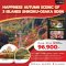 HAPPINESS AUTUMN SCENIC OF 3 ISLANDS SHIKOKU-OSAKA 8 วัน 5 คืน -JL