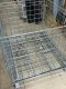 LỒNG LƯỚI THÉP, PALLET LƯỚI TRỮ HÀNG (MESH PALLET) -  HAPPY MOVE