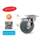 Bánh xe đẩy PU càng inox 304 xoay khóa  - Pareo