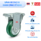Bánh xe cao su xanh Shenpai,Bánh xe cao su xanh Nhật Bản càng cố định