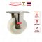 Bánh xe đẩy Nylon càng Inox 304 cố định, bánh xe cho nhà máy thực phẩm, dược phẩm,... - Pareo