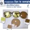 Sunglasses Lens