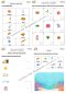 แบบฝึกหัด Science อนุบาล 3 เตรียมขึ้น ป. 1