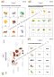 แบบฝึกหัด Science อนุบาล 3 เตรียมขึ้น ป. 1