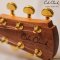 Cole Clark | TL2EC-BLBL-HSS
