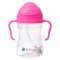 BBOX แก้วหัดดื่มพร้อมหลอดถ่วงน้ำหนัก สีสดใส รุ่น Sippy Cup (240ml.) (6m+)