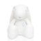 EVOLI ตุ๊กตากระต่ายหูยาว Baby Huggable Bunny (30 cm) (0m+)