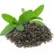 Green Tea Organic Active