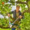 Gardena Pruning Lopper TeleCut Pro S 52-67 cm. (12040-20)