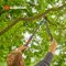 Gardena Pruning Lopper TeleCut Pro S 52-67 cm. (12040-20)