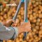 Gardena Pruning Lopper EnergyCut Pro S (12050-20)