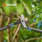 Gardena Pruning Lopper EnergyCut Pro L (12051-20)